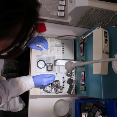 Paraffin embedding image