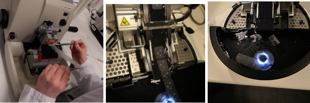 Sectioning process image