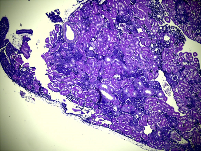 Microscopic assessment image